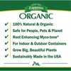 Espoma CA4 4-Quart Organic Cactus Mix, 4 Pack