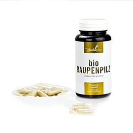 Caterpillar Mushroom Powder Organic - Cordyceps Sinensis Mushroom Powder Capsules Pack of 120 - No China Import, Organic Production - Made in Austria