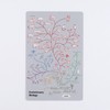 Green Flash STUDY HOLIC Clear Bookmark Evolution Biology ST-374