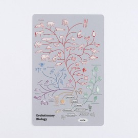 Green Flash STUDY HOLIC Clear Bookmark Evolution Biology ST-374