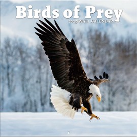 TURNER PHOTOGRAPHIC 2025 Birds Of Prey 12x12 Photo Wall Calendar (25998013005)