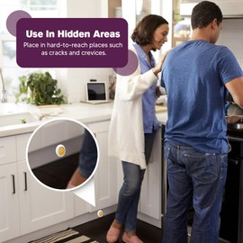 Roach Repellent, Cockroach Repellent Indoor, Pet Safe Roach Repellent, Natural Cockroach Repellents, Keep Roaches Out of Kitchen, 8P