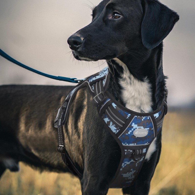 Auroth Tactical Anti Pull Dog Harness Adjustable Breathable Pet Vest