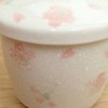 22a198-21 Chawan Steamed Dish, Sakura Sakura Steamed Bowl, Commercial Use,