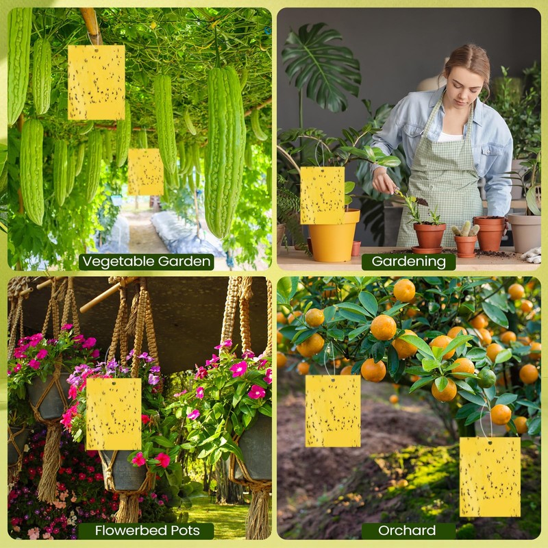Qualirey 20 Pcs 6 x 8 Inch Sticky Traps for