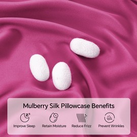 INFIIXSO Mulberry Silk Pillowcase for Hair and Skin, Silk Pillow Cases Standard Size with Hidden Zipper 20"x26", Extraordinary Smooth and Soft Cooling Pillow Cases for Hot Sleepers(Hot Pink, 1 Pack)