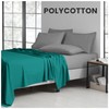 GC GAVENO CAVAILIA Easy Care Flat Sheet King Size -