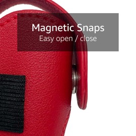 Golf Ball Carry Bag | Golf Tee Holder Pouch | Portable Golf Ball Storage Bag for 2 Golf Balls, 5 Tees and 1 Divot Repair Tool (Gold)