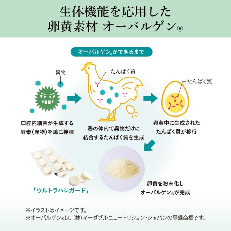 雪印メグミルク ウルトラハレガード グレープフルーツミント味 (90粒 / 30日分) キシリトール配合 タブレットタイプ (オーラルケア/口腔ケア)