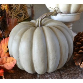 Seeds Rare Pumpkin Queensland Blue Giant Vegetable for Planting Non GMO