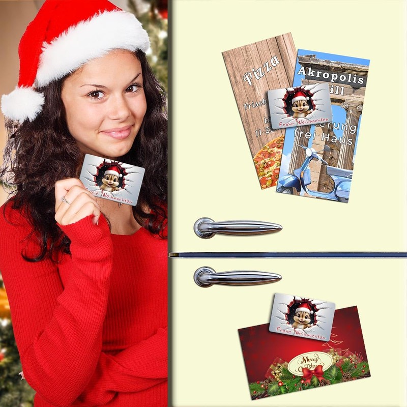 TRIOSK Christmas Magnets 3D Illusion Fridge Magnet Chipmunk with Saying