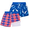 BIG ELEPHANT Pack of 2 Boys' Swimming Shorts with Compression