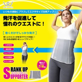 Alinco WB224 Rank Up Supporter