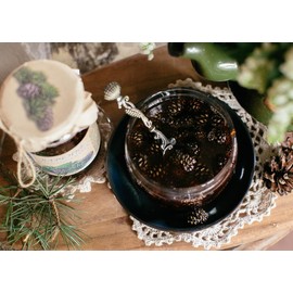 Set of Siberian Delicacy Candied Young Pine Cones 100g / 3.53oz with Pine Cone Jam Preserves 480g/ 16.93 oz by Samsonov