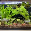 Rainmae 16 Pack New Upgrade Aquarium Plant Weights, Aquatic Water