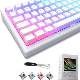 LexonElec Pudding Keycaps,Double Shot PBT Keycap Set with Translucent Layer for DIY RGB LED Backlit Gaming Mechanical Keyboards,Full 108 Key Set,OEM Profile,US Layout(White)