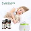 MAYJAM Essential Oil Set, Popular Set of 6, Aroma Oil,