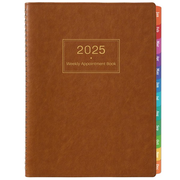 2025 Weekly Appointment Book & Planner - Large 2025 Daily