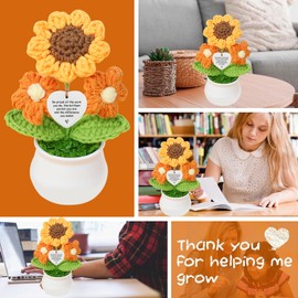 LCUHAVA Pocket Hug Positive Flowers Funny Emotional Support Positive Gifts Sunflower Get Well Soon Gift Farewell Gift Colleague Best Friends Good Mood Lucky Charm