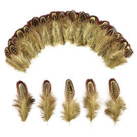 THARAHT Pheasant Plumage Feathers 120pcs Natural 2-3 Inches for Thanksgiving Crafts Hats Sewing Clothing Wedding Dream Catcher Decoration Feathers,Yellow