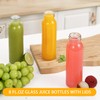 Danmu Glass Juice Bottles with Lids 12 oz,Juicing Bottles Reusable