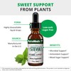 NutraMedix Sweet Leaf Stevia Liquid Drops - Sugar Free Sweetener