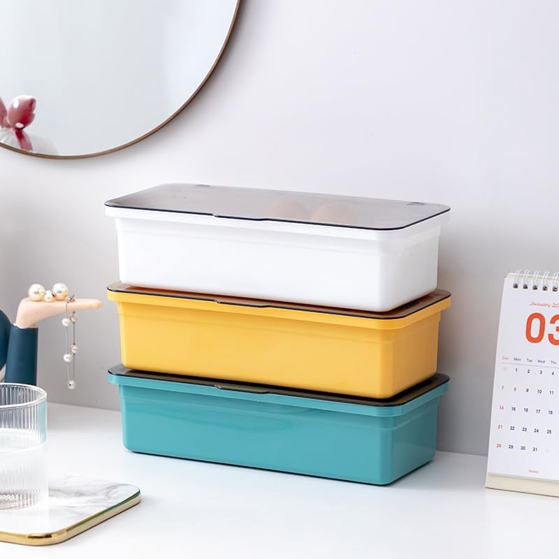 Plus Nao Cutlery Case, Organizer, Storage Box, with Lid, Drainer,