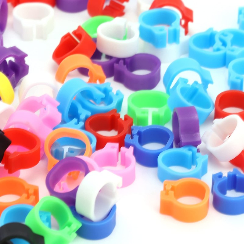200PCS Pigeons Leg Rings Lightweight Compact Foot Bands Colorful Chicken