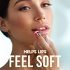 ChapStick Classic - Paquetes surtido