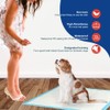 NEZO Dog and Puppy Premium Training Pads, Extra Large 34