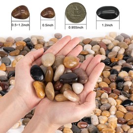 Polished Pebbles, Small Decorative River Rock Stones, Natural Polished Mixed Colour Stones for Home Decoration Fish Tank Plants Vases Succulents (2 Pounds)