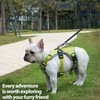 Huntboo Escape Proof Dog Harness, Escape Artist Harness, Reflective Dog