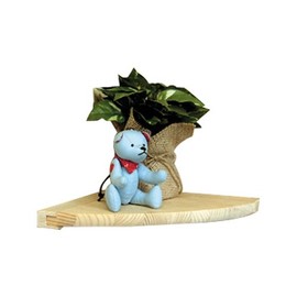 Kodai Sangyo Pine Walshelf M Type