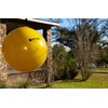 Bug Ball Gnat and Small Fly Ball Replacement Kit -
