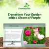 Outsidepride Purple Gleam California Poppy Seeds - 10000 Pcs. Annual,