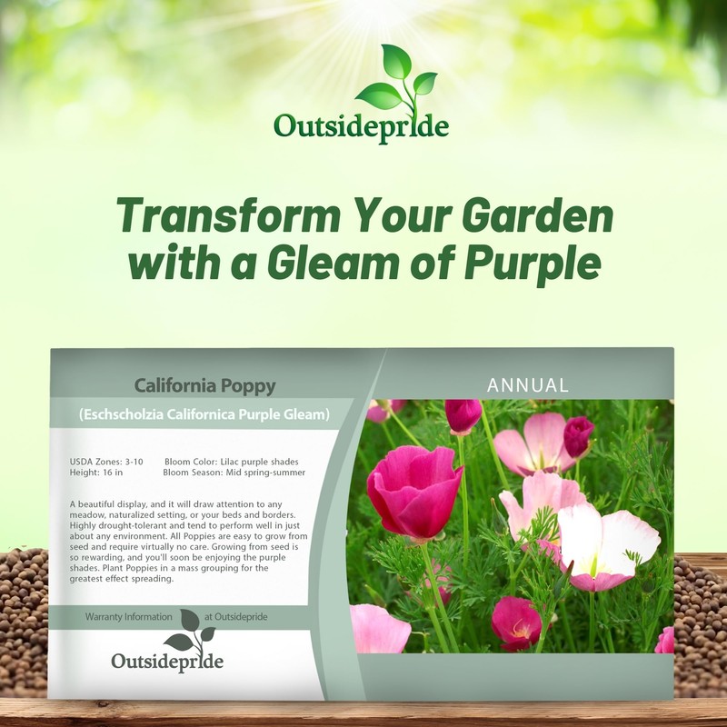 Outsidepride Purple Gleam California Poppy Seeds - 10000 Pcs. Annual,
