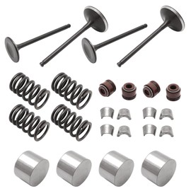 JAVIK Intake Exhaust Engine Valve Seal Spring Kit for Suzuki Quadsport 400 Z400 LTZ400 2003-2014, O.E.M# 12911-29F00 12912-29F00 09289-05011 12891-02F00