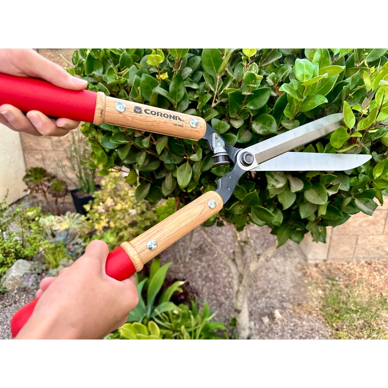 Corona HS 6960 Forged Hedge Shear, 10-Inch Blade