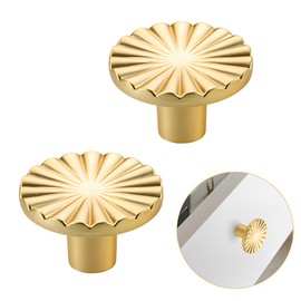 TUYOBG Golden Plastic Side Cabinet Door Handle Pack of 2 - Classic Round Cabinet Knobs Handles for Kitchen, Bathroom or Bedroom, Single Hole Plastic Wardrobe Handles, Suitable for Dressers