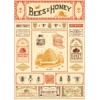 Cavallini Decorative Paper - Bees & Honey 20"x28" Sheet -
