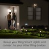 Ring Solar Pathlight - Outdoor Motion-Sensor Security Light, Black (Bridge