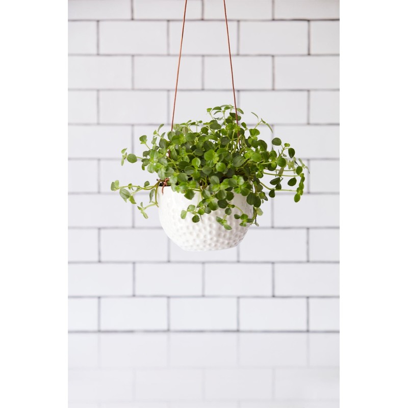 Burgon & Ball 'Dot' Hanging Pot