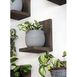 Daniel's Plants Indoor Plant Wall Gallery Shelf Kit | Midcentury Modern Wooden Shelves | Wall Mounted Plant Ledge | L Shaped Floating Shelves | Solid Wood Wall Planter Shelf | 3 Pack (Dusk Grey)