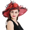 2025 Kentucky Derby Hats for Women Girls Ladies, Organza Church
