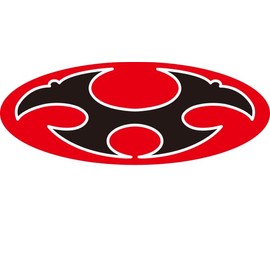 Aussie Kabuto 4206005 Motorcycle Helmet Parts Ear Cup Set No. 1, Dark Gray