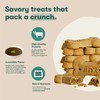 Beef Bone Broth Biscuits, Crunchy Dry Dog Treats - Every
