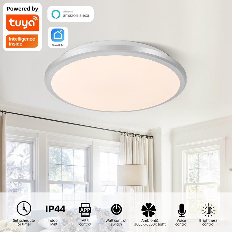 Horevo 24W LED WiFi Smart Ceiling LED Ceiling Light: Modern