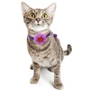 LKYADM Cat Collar with Flower, Small Dog Necklace Puppy Collar