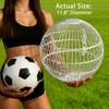 TINAFEITEM Rolling Small Animal Cage 11.8 inches, Metal Mesh Ball Cage
