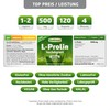 L-Proline, 450 mg, High Dose, 120 Capsules - No Artificial